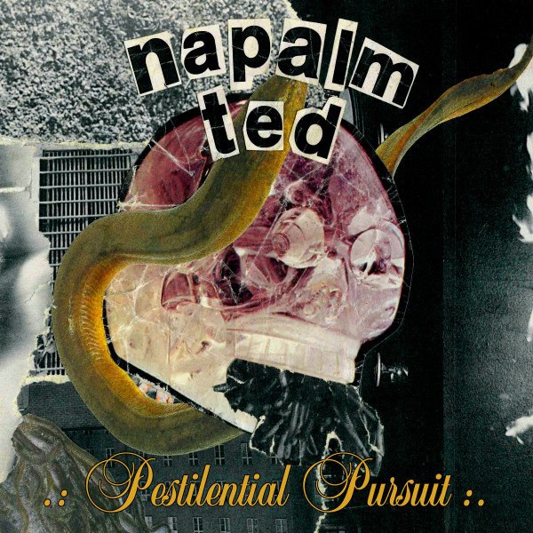 Pestilential Pursuit