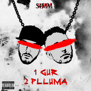 1 Gur 2 Plluma