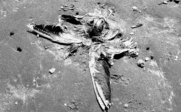 Ababaut​.​.​.​The Result Of Something Done , The Outcome Of An Event