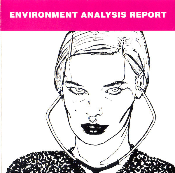 Environmental Analysis Report
