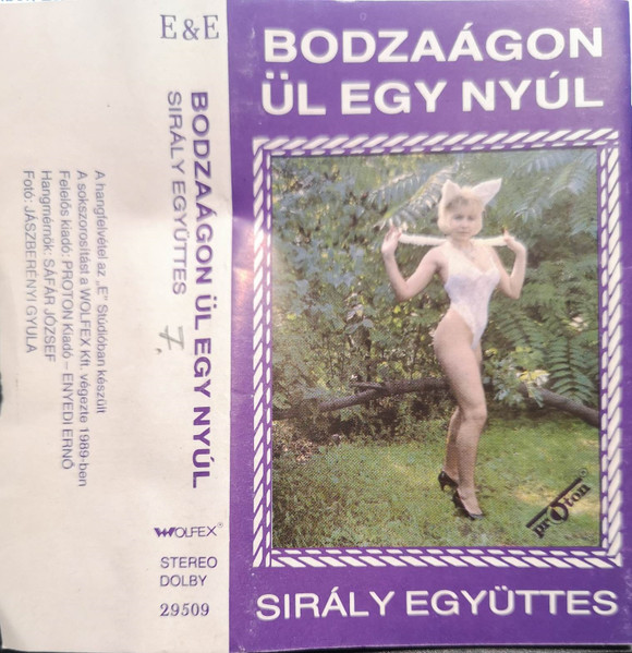 Bodzaágon Ül Egy Nyúl