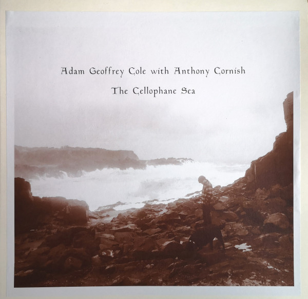The Cellophane Sea / Drinking With The Flies
