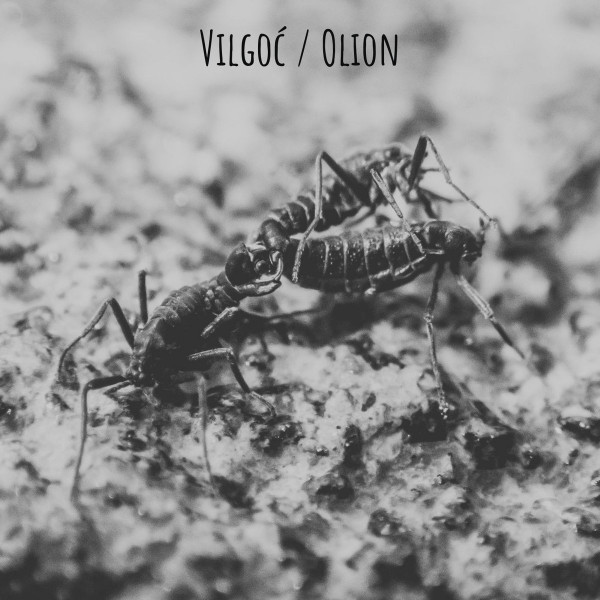Vilgoć / Olion