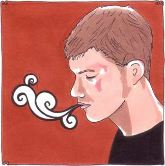 Daytrotter Session 8/20/2007