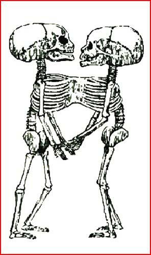 Metamorphosis Of The Transgressor