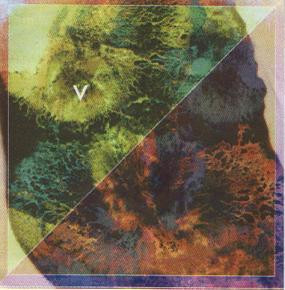 Acid Reign