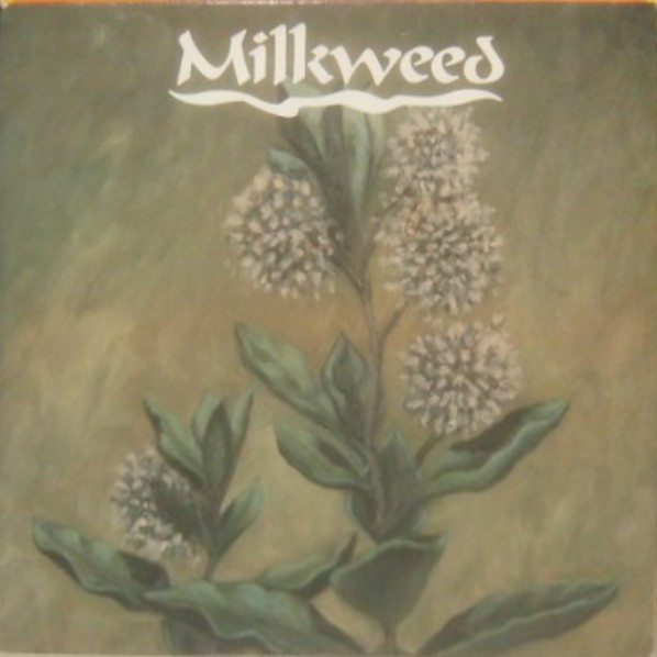 Milkweed