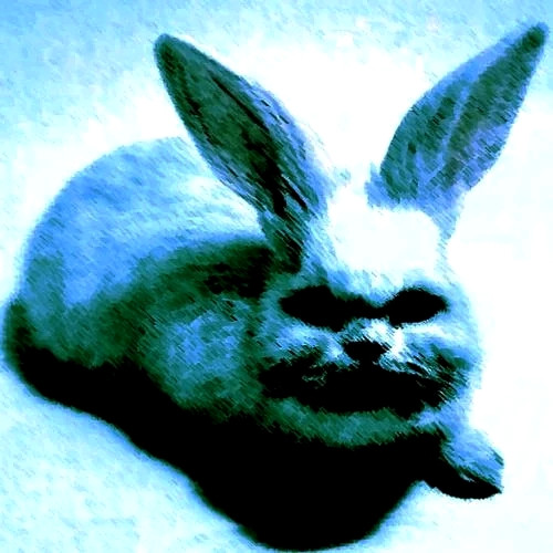 e-DOB