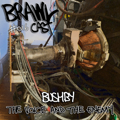 The Voice And The Enemy