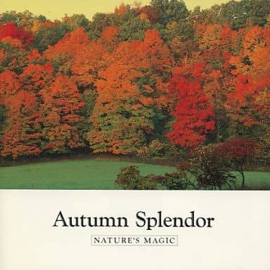 Autumn Splendor