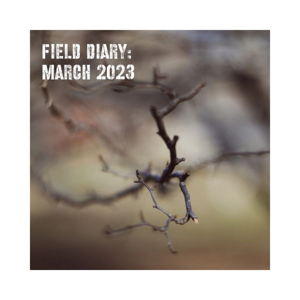 Field Diary: March 2023