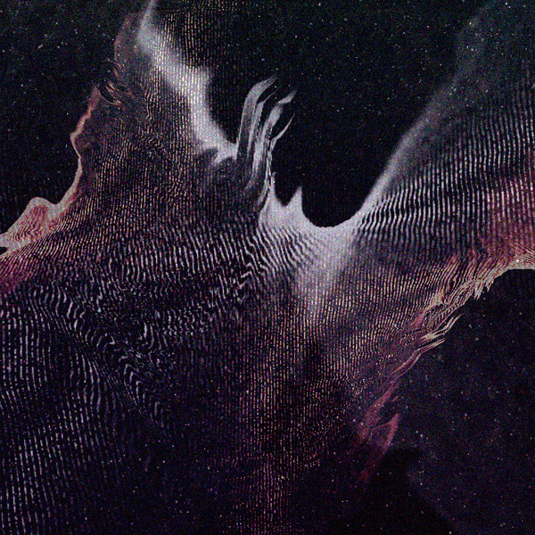 Transcendent Waves Vol​.​1