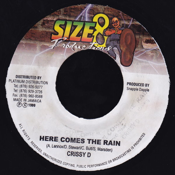 Here Comes The Rain