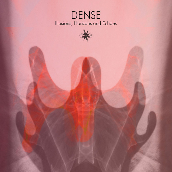 Illusions, Horizons And Echoes