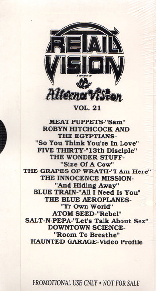 Retail Vision (Alternavision Volume 21)