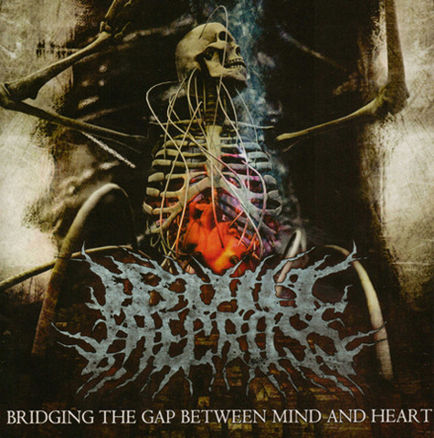 Bridging The Gap Between Mind And Heart