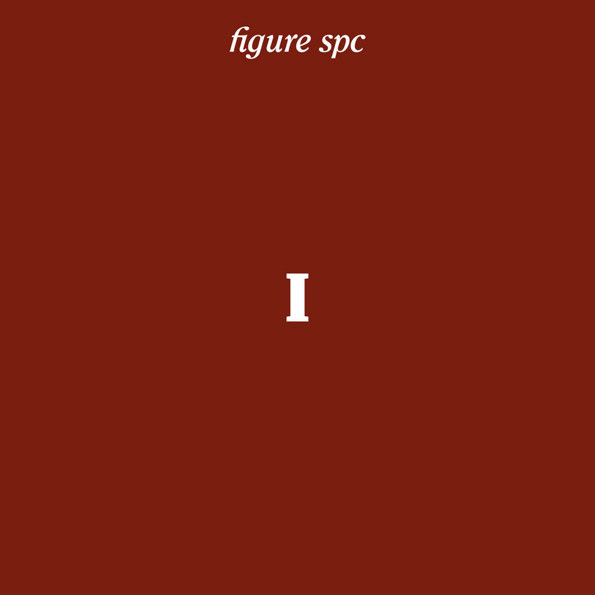 Figure SPC I