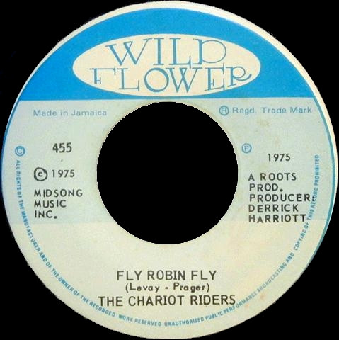 Fly Robin Fly