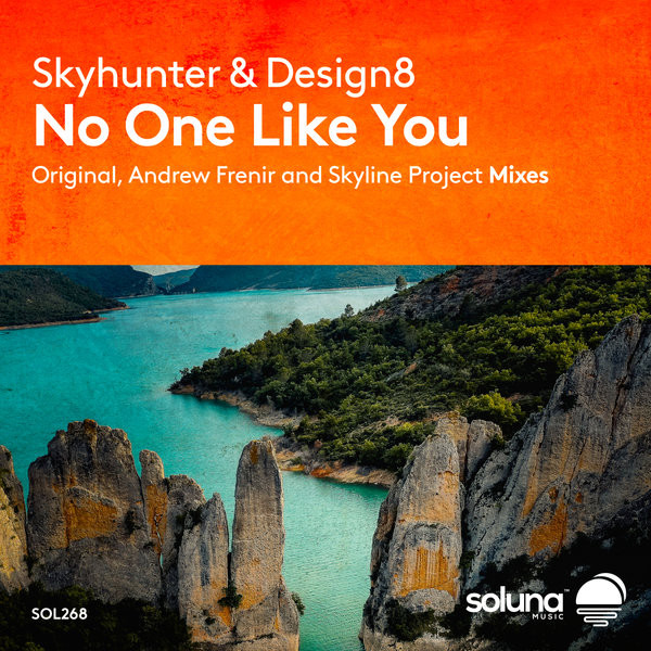 No One Like You