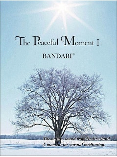 The Peaceful Moment I
