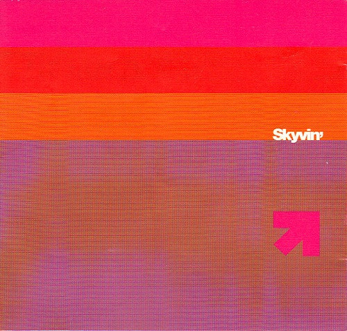 Skyvin'