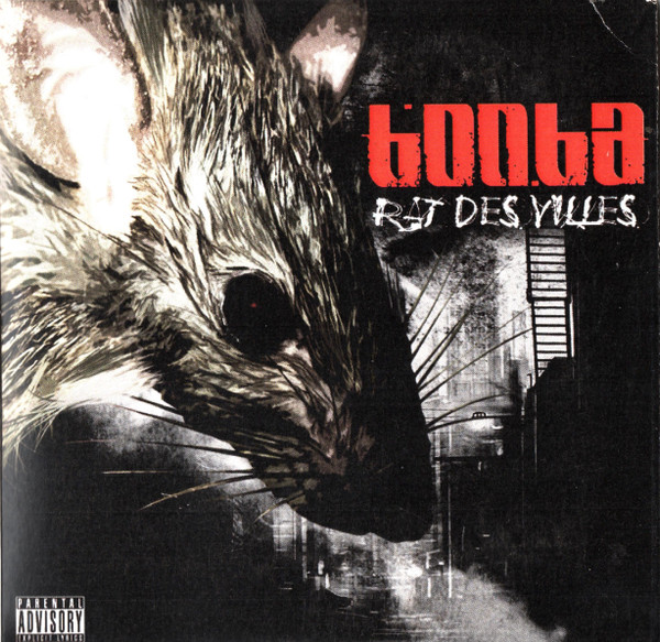 Rats Des Villes