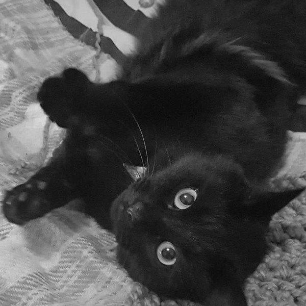 Salem