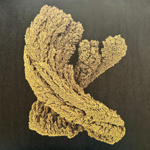Emergence