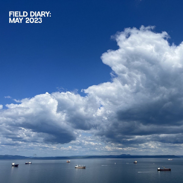 Field Diary: May 2023