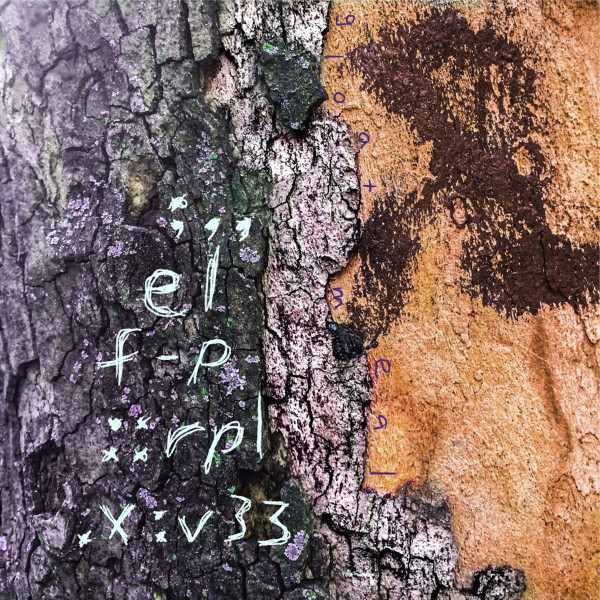  ;​,​,​elf​-​p​:​:​rpl​.​x​:​v33