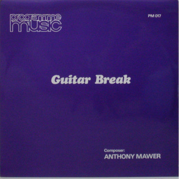 Guitar Break