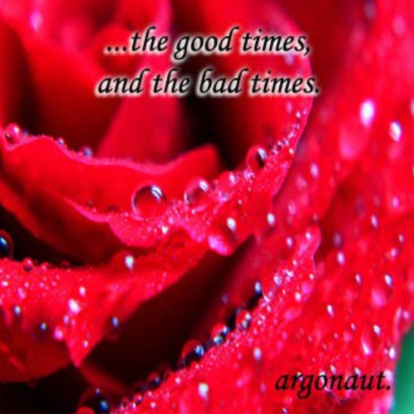 The Good Times And The Bad Times