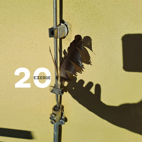20