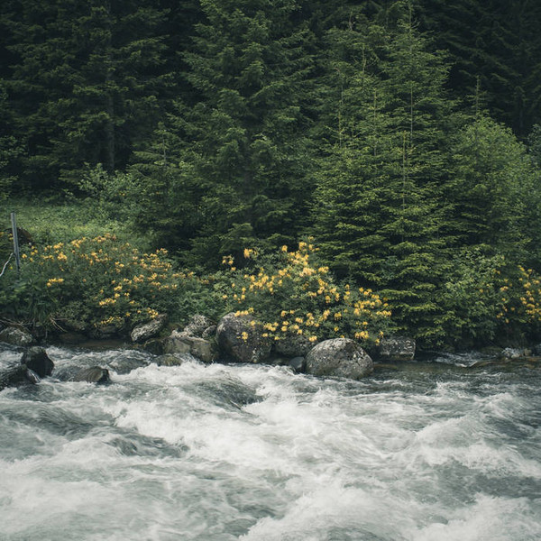 River