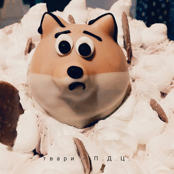 П.Д.Ц.