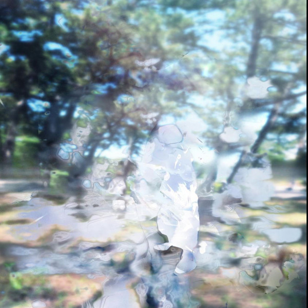 Kaze No Katachi