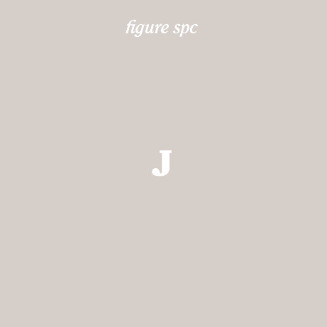 Figure SPC J