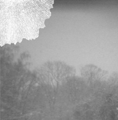 Forward / Deluge