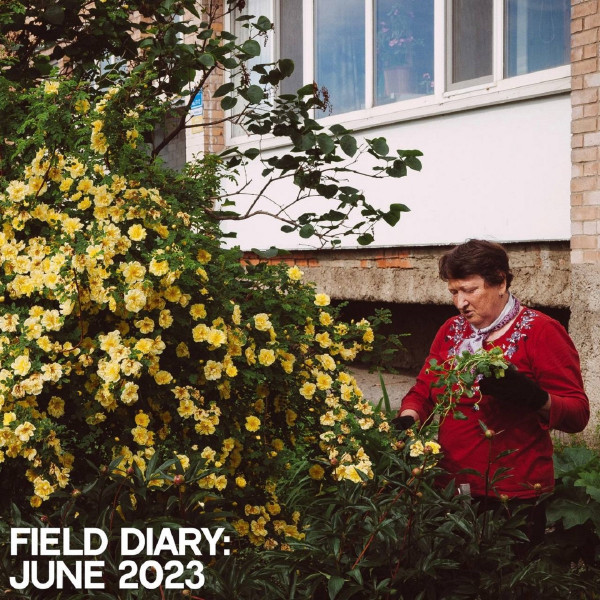 Field Diary: June 2023