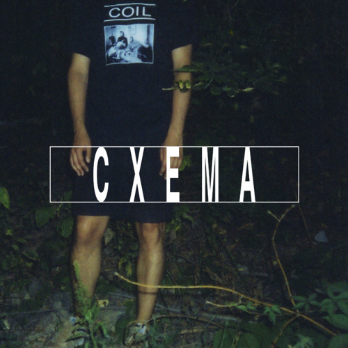 Cxemcast 022