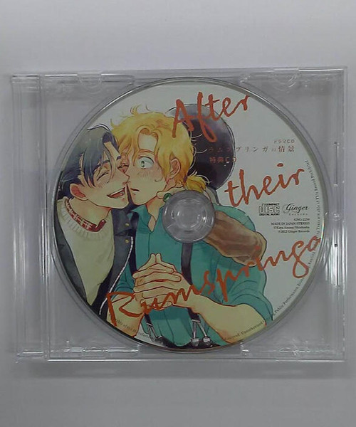 ラムスプリンガの情景 (After Their Rumspringa)