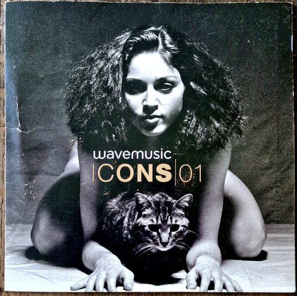 Wavemusic Icons|01