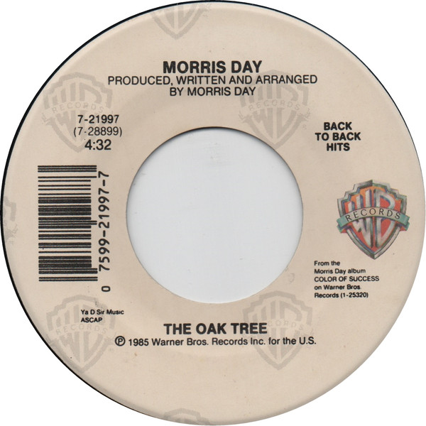 The Oak Tree / The Color Of Success