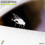 Shade Of Remixes EP