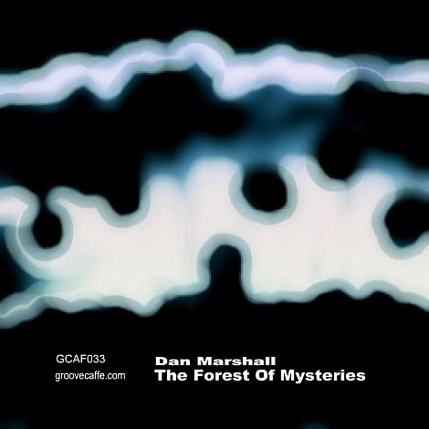 The Forest Of Mysteries