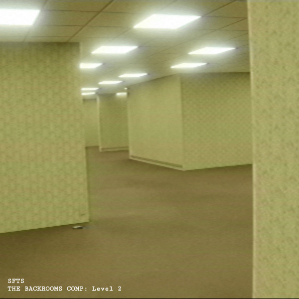 The Backrooms Comp : Level 2