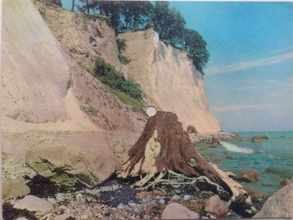 La Paloma
