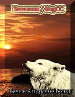 Белые Амурские Волки (White Amur Wolfes)
