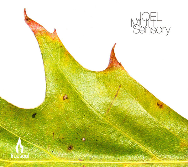 Sensory