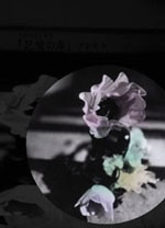 アネモネシネマ - 記憶の海